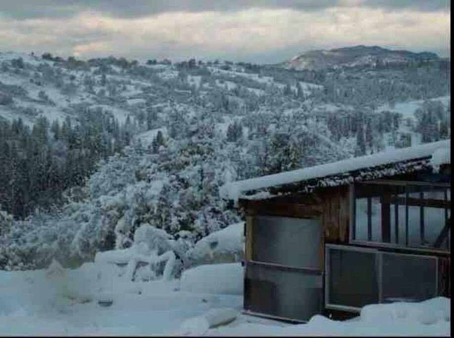 Walnut Cottage Badger 외부 사진