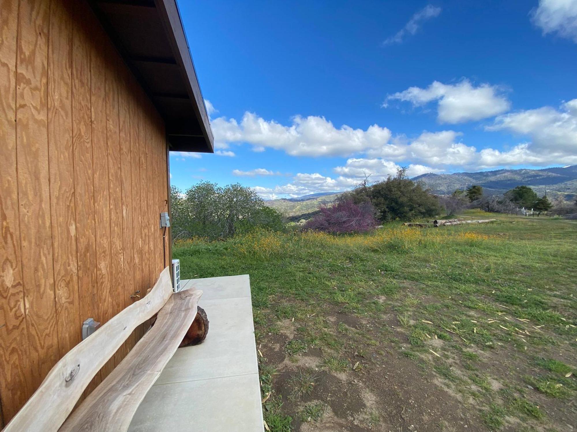 Walnut Cottage Badger 외부 사진